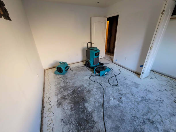 Best Fire Damage Restoration  in East Foothills, CA