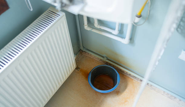 Best Professional water damage repair  in East Foothills, CA