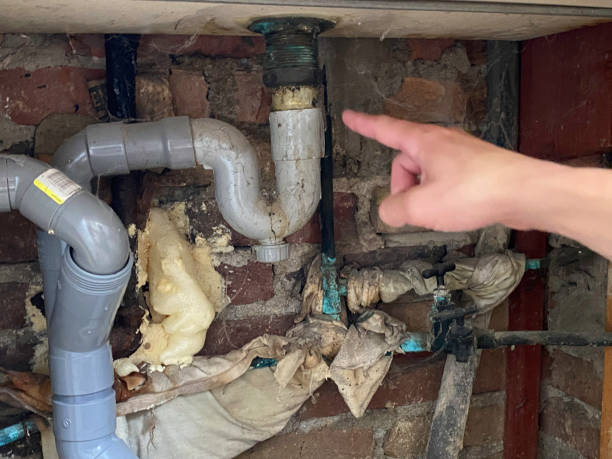 Best Water damage restoration near me  in East Foothills, CA