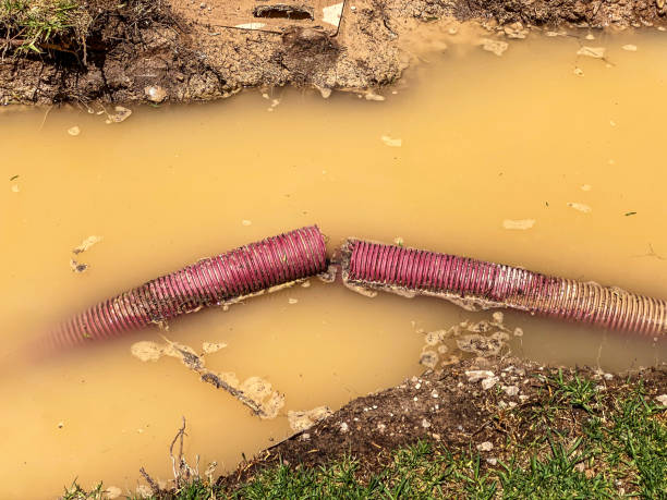 Best Flood damage cleanup  in East Foothills, CA