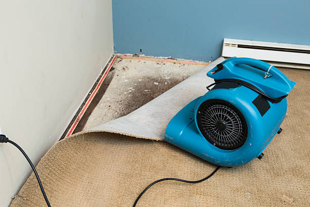 Best Residential water damage restoration  in East Foothills, CA